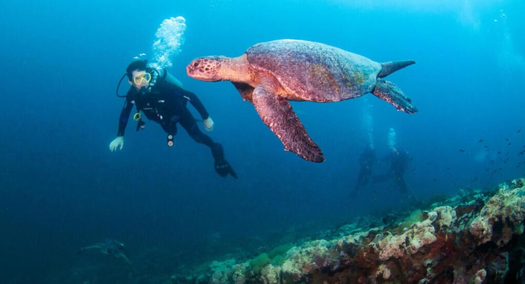 Top 6 Best Scuba Diving Spots