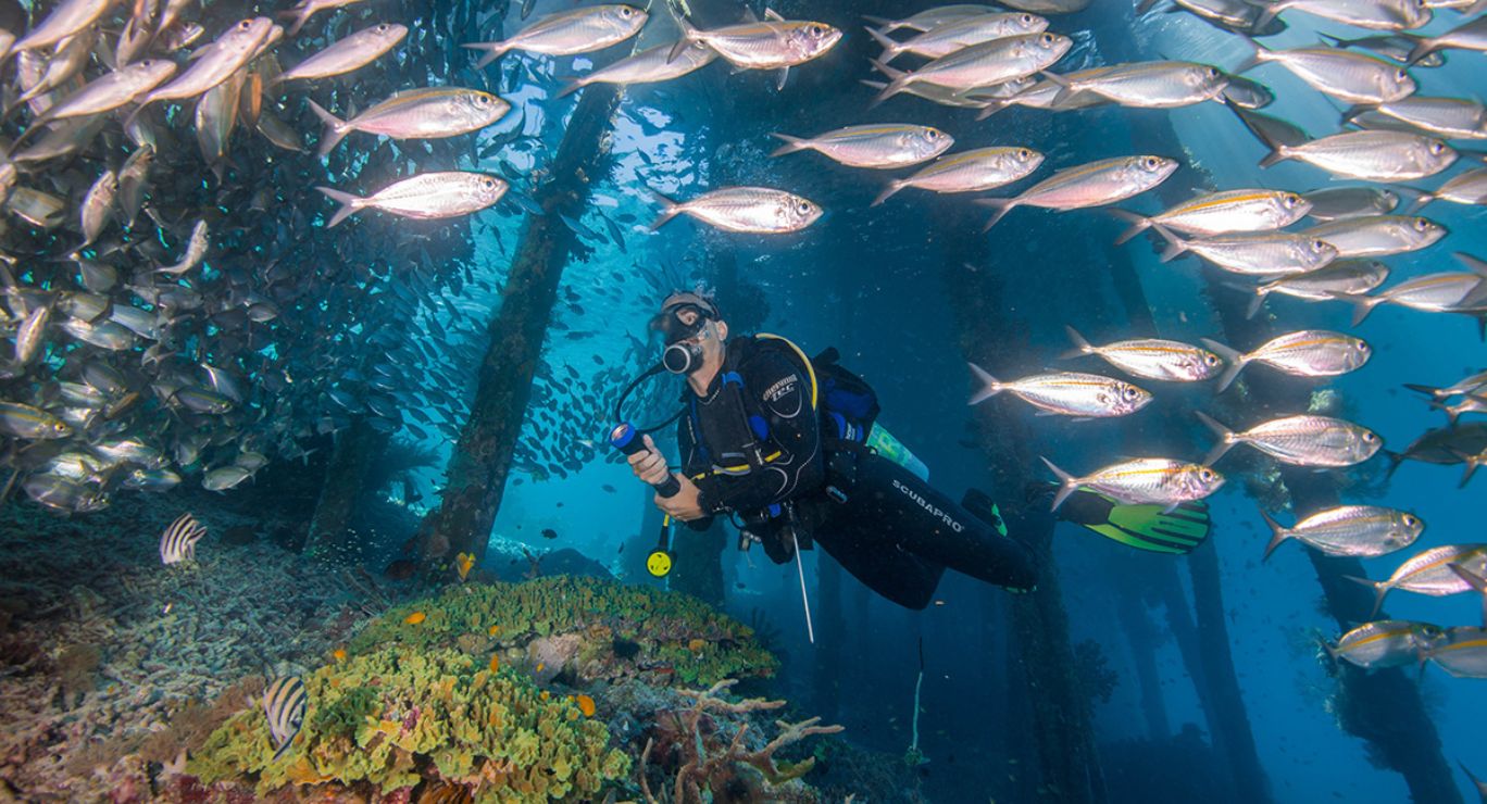 Top 6 Best Scuba Diving Spots